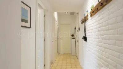 Apartment in Molins de Rei photo 18