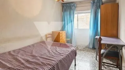 Apartment in San Isidro photo 14