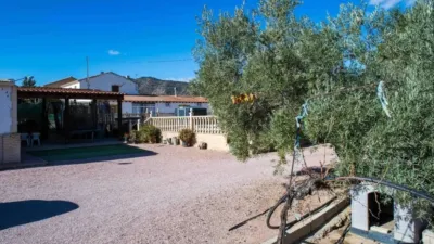 Rustic house in Yecla photo 25