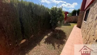 Chalet in Chiva photo 14