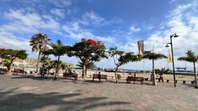Apartment in Playa de Las Américas photo 13