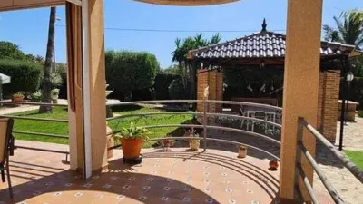Chalet in Alicante - Alacant photo 7