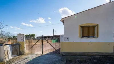 Rustic house in Yecla photo 11