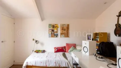 Apartment in Molins de Rei photo 20