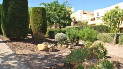 Apartment in Valle del Este photo 26