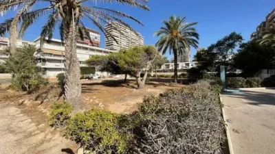 Apartment on Avenida de Niza photo 30