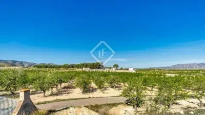 Chalet in Alcira photo 74