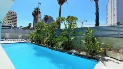Apartment in Las Adelfas-Benicolada-Garduix photo 14