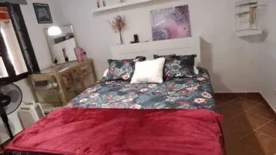 Rustic property in Tacoronte photo 5