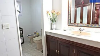 Chalet in Urbadiez-Entrepuentes photo 25