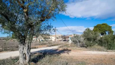 Rustic house in Camarillas photo 12