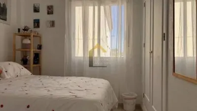 Rustic house in Orihuela photo 10
