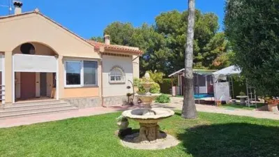 Chalet in Alicante - Alacant photo 3