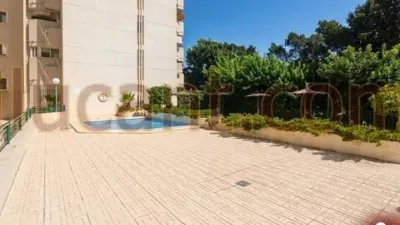 Piso en Alicante - Alacant photo 5