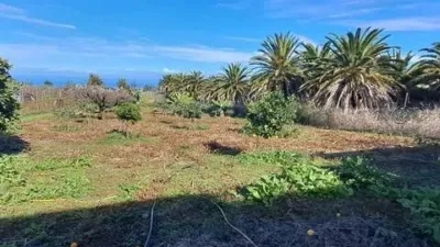 Rustic property in Tacoronte photo 15