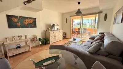 Apartment in Valle del Este photo 11