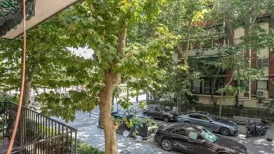 Apartment in San Isidro photo 47