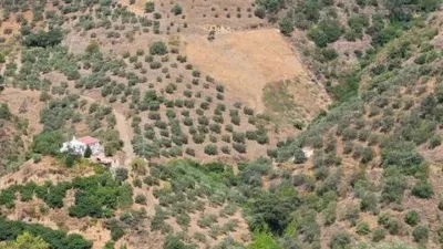 Chalet in Canillas de Albaida photo 23