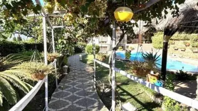 Chalet in Manantiales-Cortijos del Sol-Fuensanguínea photo 6