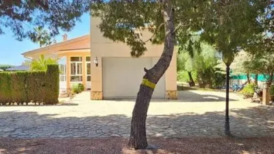 Chalet in Alicante - Alacant photo 24