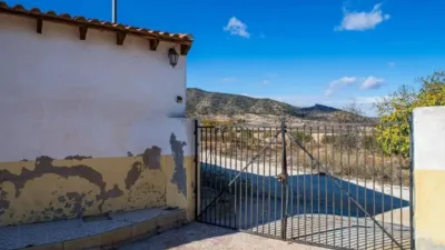 Rustic house in Yecla photo 7