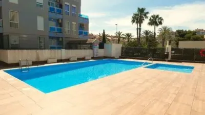 Apartment on Calle del Maestro Francisco Casanovas photo 28