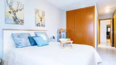 House in Mas Camarena photo 28