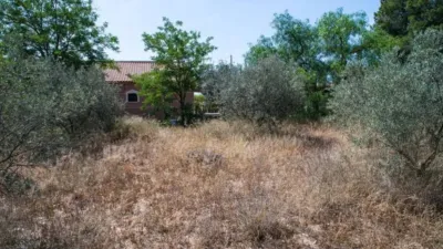Rustic house in Camarillas photo 50