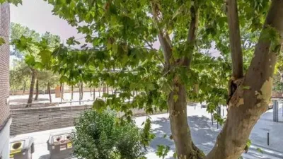 Apartment in San Isidro photo 54