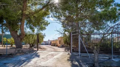 Rustic house in Yecla photo 14
