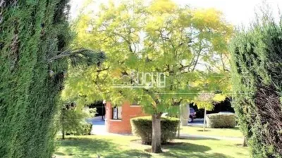 House in Mas Camarena photo 37