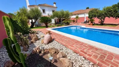 Chalet in Arcos de la Frontera photo 49