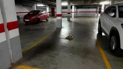 Piso en Urbanización de Roquetas-Las Marinas photo 19