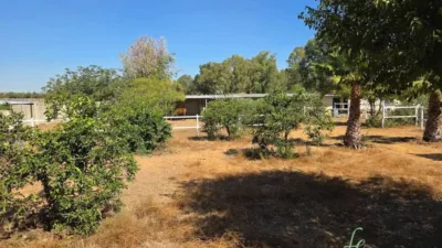 Chalet in Alcalá de Guadaíra photo 17