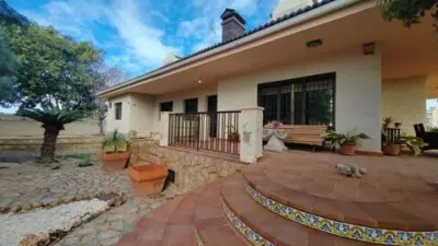 Chalet in Platja Muchavista photo 17