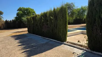 Chalet in Alcalá de Guadaíra photo 21