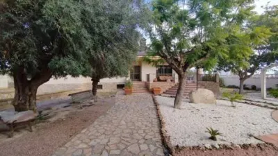 Chalet in Platja Muchavista photo 19