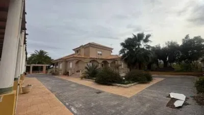 Chalet in Los Ramos photo 3