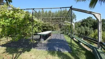 Chalet in A Graña (Pontedeume) photo 18