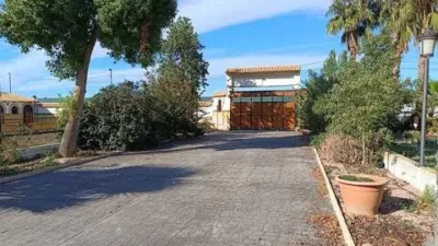 Chalet in Los Ramos photo 7