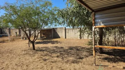 Chalet in Alcalá de Guadaíra photo 13