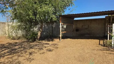 Chalet in Alcalá de Guadaíra photo 16