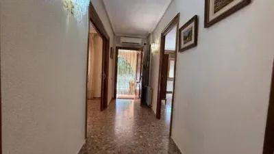 Chalet in Mutxamel photo 17
