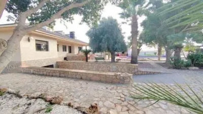 Chalet in Platja Muchavista photo 10