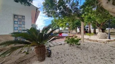 Chalet in Platja Muchavista photo 26