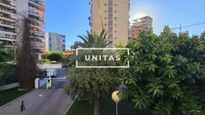 Apartment in Alicante - Alacant photo 31