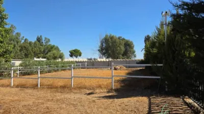 Chalet in Alcalá de Guadaíra photo 19