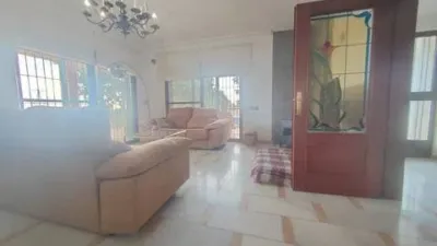Chalet in Platja Muchavista photo 56