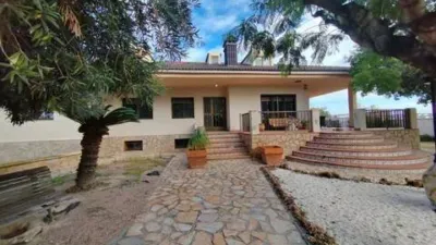 Chalet in Platja Muchavista photo 18