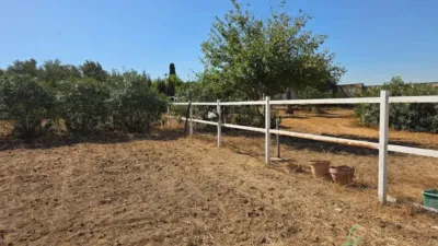 Chalet in Alcalá de Guadaíra photo 11